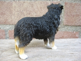 beeldje Australian Shepherd tricolour