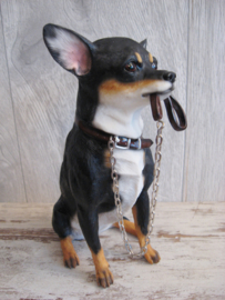 beeldje Chihuahua met riem tricolour