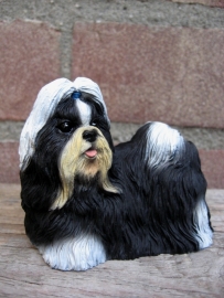 beeldje Shih Tzu zwart-wit