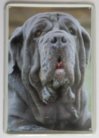 metalen bordje Mastino Napoletano