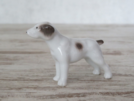 miniatuur Jack Russell staand