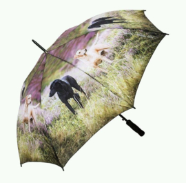 paraplu Labradors