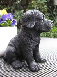 beeldje Labrador zwart puppy