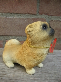 beeldje Pekinees puppy