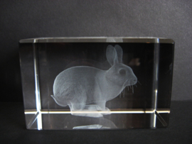 3D laserblokje / glasblokje konijn