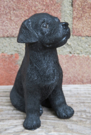 beeldje Labrador puppy zwart