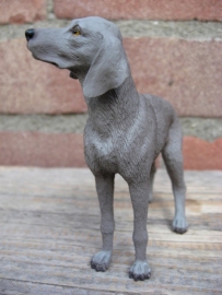 beeldje Weimaraner