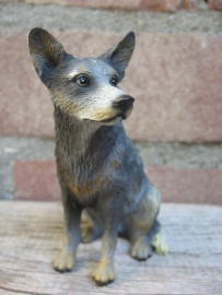 beeldje Australian Cattle Dog blauw