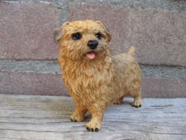 beeldje Norfolk Terrier