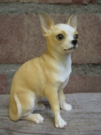 beeldje Chihuahua tan/wit