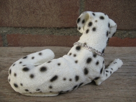 beeldje Dalmatier liggend