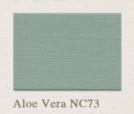 NC73 Aloe Vera Lack Painting The Past