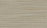 31503 - Marsh