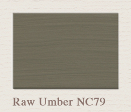 NC79 Raw Umber Painting The Past Wandfarbe