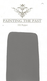 102 Pepper Painting The Past Wandfarbe