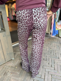 G-Maxx Bindi Broek Gray Melange/Mauve Wine