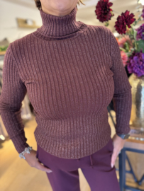 Ricerri Bordeaux Colneck Trui