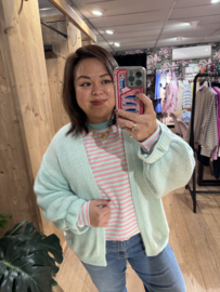 Noor Vest Mint Groen