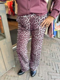 G-Maxx Bindi Broek Gray Melange/Mauve Wine