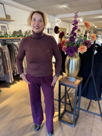 Ricerri Bordeaux Colneck Trui