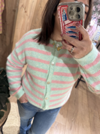 Liv Sweater Mint Groen/Roze