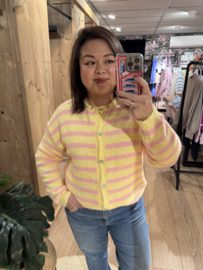 Liv Sweater Geel/Roze