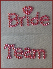 BRIDE TEAM Schoensticker Zilver - Roze - Zwart