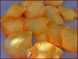 Strooiblaadjes - Oranje (15)