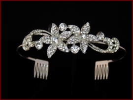 Tiara- Diadeem met glas en Strass steentjes (630)