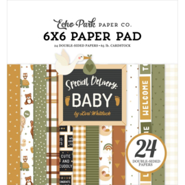 Echo Park Double-Sided Paper Pad 6"X6" 24/Pkg Special Delivery Baby