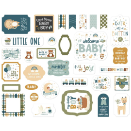 Echo Park Cardstock Ephemera 33/Pkg Icons, Special Delivery Baby Boy