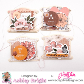 Scrapdiva Shabby Chic Memorydex 