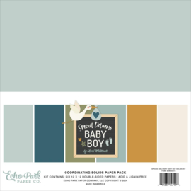 Echo Park Solids Collection Kit 12"X12" Special Delivery Baby Boy, 6 Colors