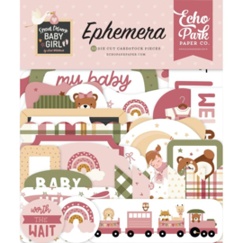 Echo Park Cardstock Ephemera 33/Pkg Icons, Special Delivery Baby Girl