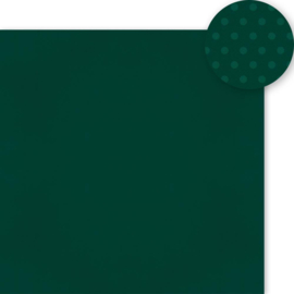 Simple Stories Color Vibe Double-Sided Cardstock 12"X12" Forest Green  