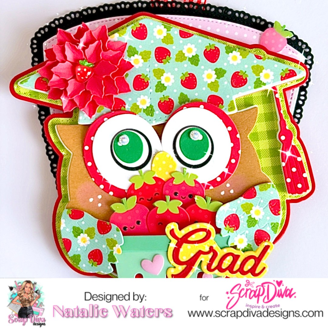 Scrapdiva Grad Owl Mini Album preorder
