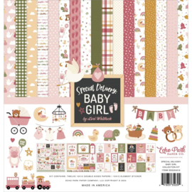 Echo Park Collection Kit 12"X12" Special Delivery Baby Girl
