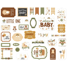 Echo Park Cardstock Ephemera 33/Pkg Icons, Special Delivery Baby