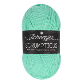 Scheepjes Scrumptious 100g  340 Mint Whoopie Pie