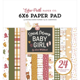 Echo Park Double-Sided Paper Pad 6"X6" 24/Pkg Special Delivery Baby Girl