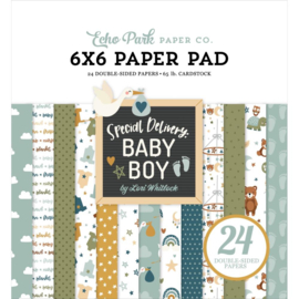 Echo Park Double-Sided Paper Pad 6"X6" 24/Pkg Special Delivery Baby Boy