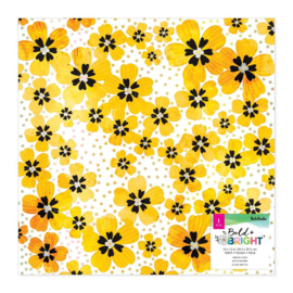 Vicki Boutin Bold And Bright Specialty Paper 12"X12" Acetate PREORDER