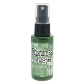 Ranger Distress Oxide Spray - Rustic Wilderness TSO72867 Tim Holtz