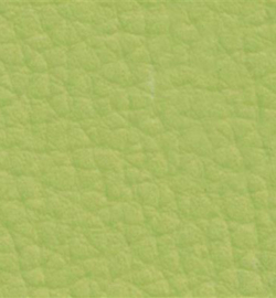 240056-266 - Vegan leer, Pistachio 50x70cm