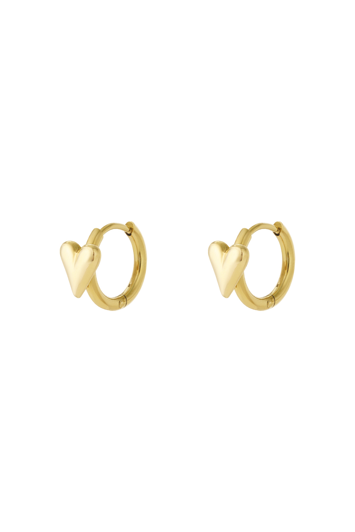 Creolen Chirurgisch staal Mini heart