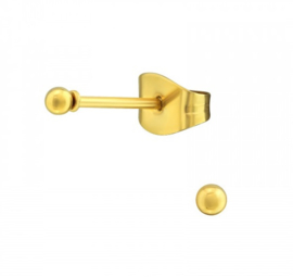 Oorbellen Chirurgisch staal Bal 2mm