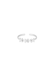 Chirurgisch stalen ring XXX Amsterdam