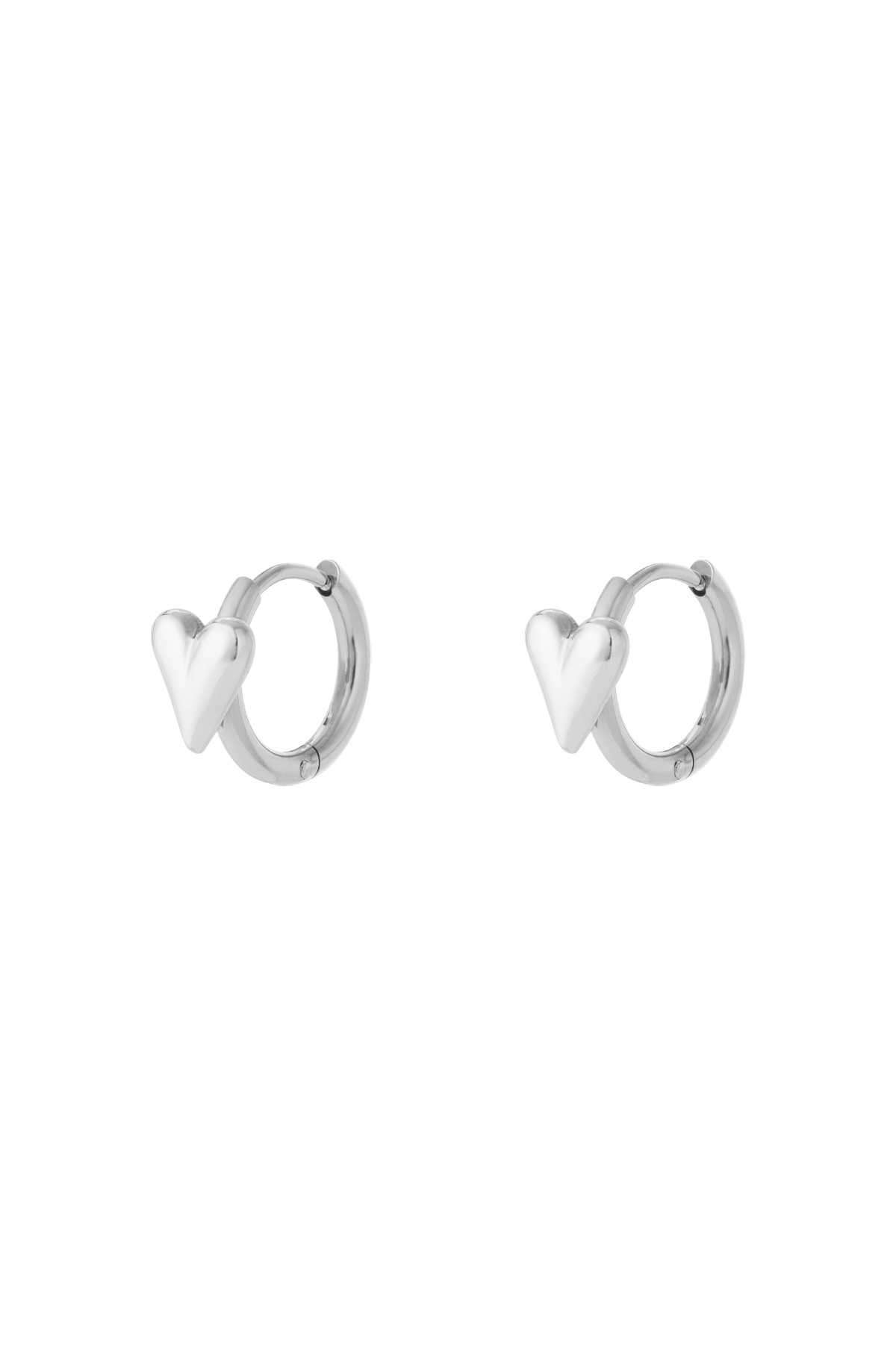 Creolen Chirurgisch staal Mini heart