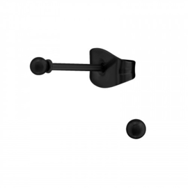 Oorbellen Chirurgisch staal Bal 2mm
