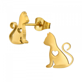 Oorbellen Chirurgisch staal Poes